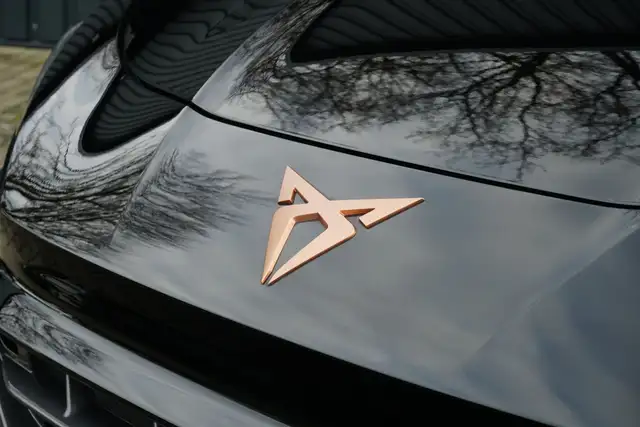Cupra Terramar view 10