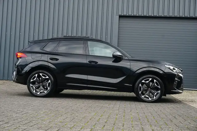 Cupra Terramar view 8