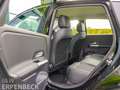 Mercedes-Benz B 200 B 200 Progressive AHK Distronic Kamera El.Heckkl Zwart - thumbnail 16