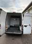 Fiat Ducato furgone 2.3 jtd 15 motore nuovo 3p.ti + iva Blanc - thumbnail 4