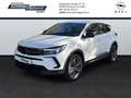 Opel Grandland 1.2 Business Edition SHZ AHK NAVI Weiß - thumbnail 1