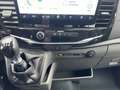 Ford Transit Kombi 330 L2H2 Trend DOPPELKLIMA NAVI Gris - thumbnail 13