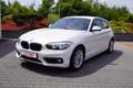 BMW 116 116i Advantage AAC SHZ PDC TEMP AHK Weiß - thumbnail 2