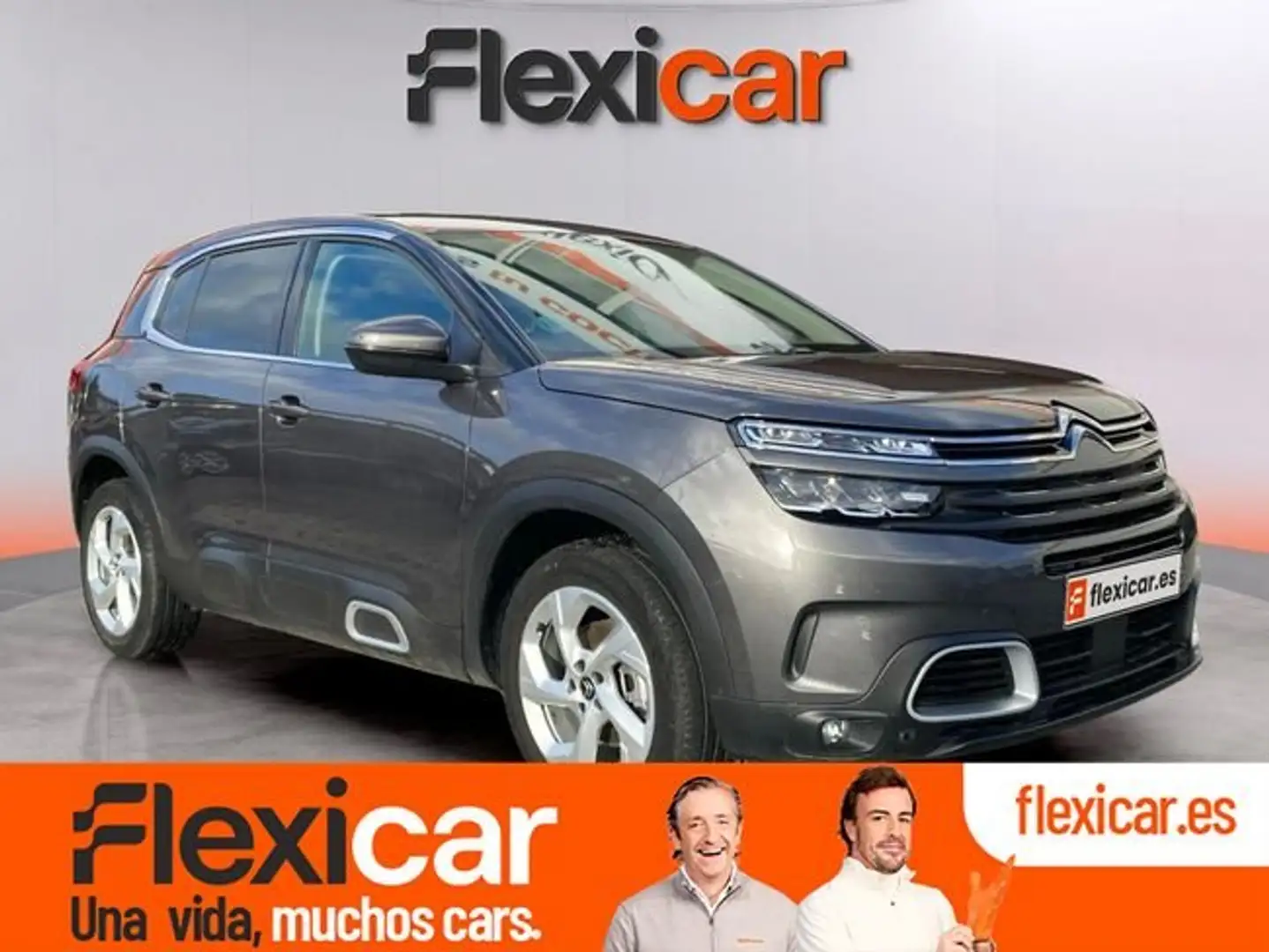 Citroen C5 Aircross PureTech S&S Live Pack 130 Gris - 1