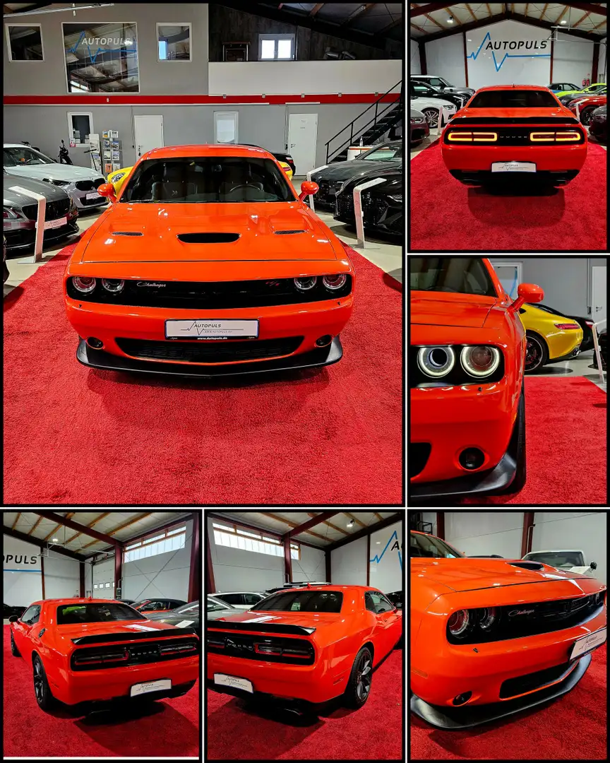 Dodge Challenger 6.4 R T Scat Pack*Go Mango* Pomarańczowy - 2