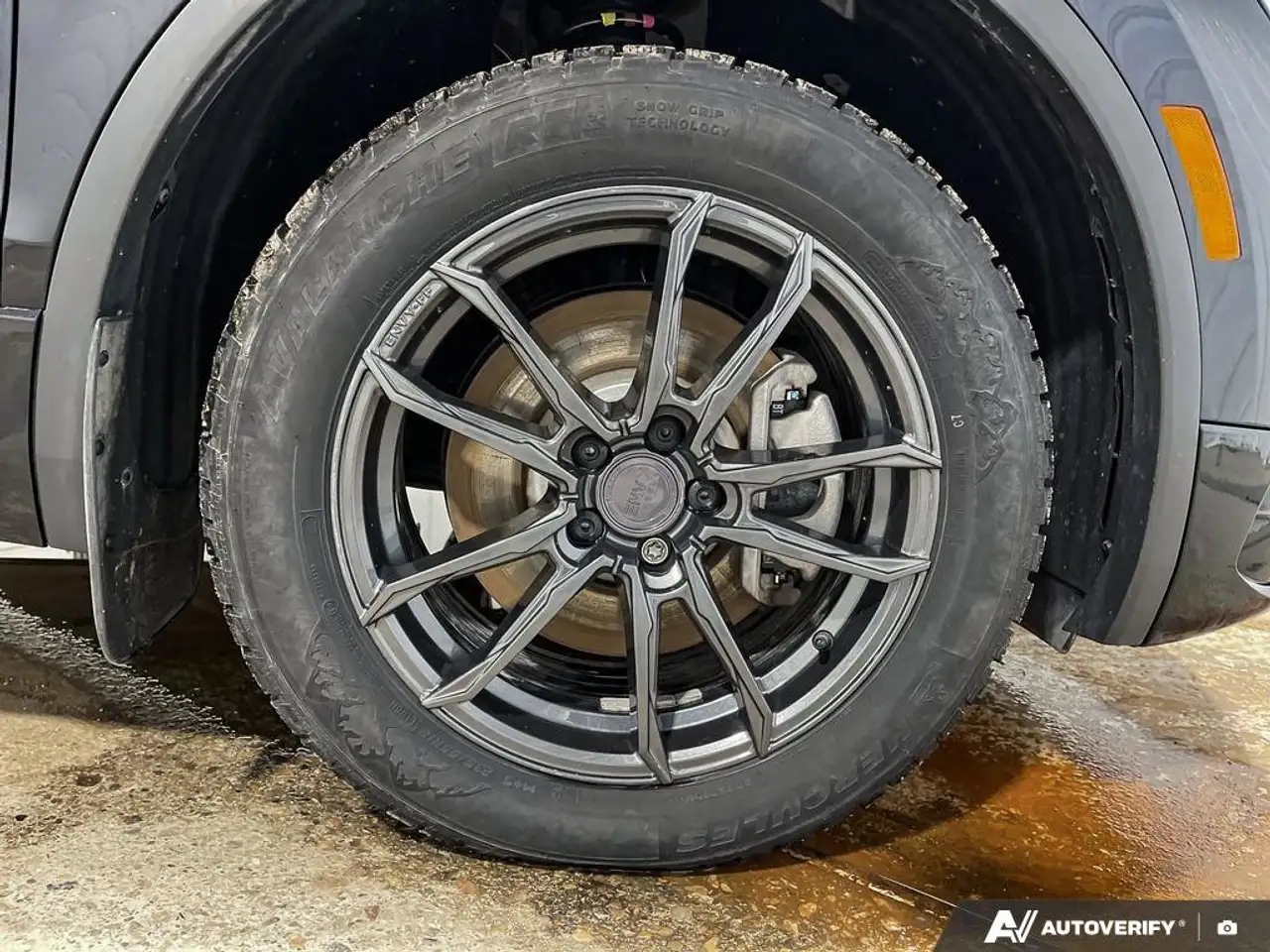 Volkswagen Tiguan снимка Volkswagen Tiguan