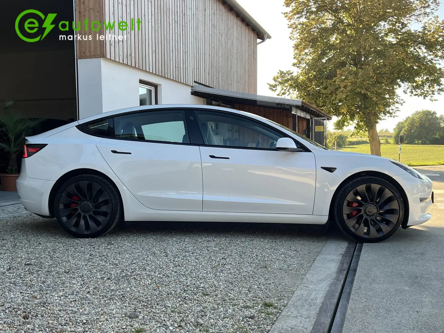 Tesla Model 3 Performance 78 kWh Dual Motor Mwst. Matrix 20" Blanc - 2
