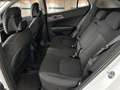 Kia Sportage 1.6 T-GDi MHEV Business DCT 4x2 160 Blanco - thumbnail 10