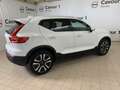 Volvo XC40 XC40 D3 AWD Geartronic Business Plus Bianco - thumbnail 8