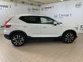 Volvo XC40 XC40 D3 AWD Geartronic Business Plus Bianco - thumbnail 9
