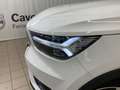 Volvo XC40 XC40 D3 AWD Geartronic Business Plus Bianco - thumbnail 6