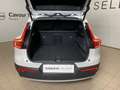 Volvo XC40 XC40 D3 AWD Geartronic Business Plus Bianco - thumbnail 12