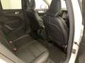 Volvo XC40 XC40 D3 AWD Geartronic Business Plus Bianco - thumbnail 30