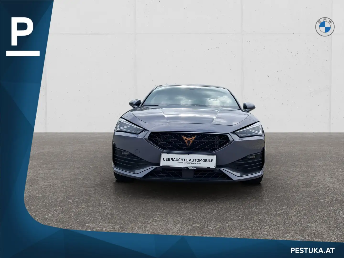 CUPRA Leon 2.0 TSI DSG 190 PS Grau - 2