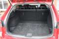 Mazda 6 Kombi 2.2 Sports-Line Aut. Xenon Leder 1.Hand Rot - thumbnail 9