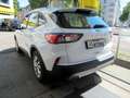 Ford Kuga 1.5D Aut Cool+Connect Navi/4xSHZ/PDC/Tempo Weiß - thumbnail 3
