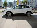 Ford Kuga 1.5D Aut Cool+Connect Navi/4xSHZ/PDC/Tempo Weiß - thumbnail 11