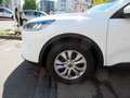 Ford Kuga 1.5D Aut Cool+Connect Navi/4xSHZ/PDC/Tempo Weiß - thumbnail 7
