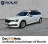 Skoda Superb Ambition TDI DSG Blanc - thumbnail 1