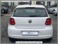 Volkswagen Polo 1.2 *2.Hand,PDC,Klima,Sitzheizung* Weiß - thumbnail 5