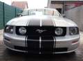 Ford Mustang GT 4.6 V8 Argent - thumbnail 27