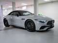 Mercedes-Benz SL 43 AMG AMG Premium Plus -IVA ESPOSTA-CARBONIO-PACK NIGHT Grau - thumbnail 26