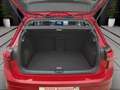 Volkswagen Golf 1.5 eTSI DSG GOAL KAMERA KLIMA HuD HARMAN Rot - thumbnail 4