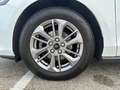 Ford Focus KOMBI Ecoboost *Titanium* Weiß - thumbnail 21