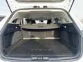 Ford Focus KOMBI Ecoboost *Titanium* Weiß - thumbnail 20