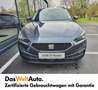 SEAT Leon ST Austria Edition 1.0TSI 110 Grau - thumbnail 2