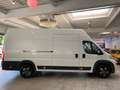 Citroen Jumper 2,2 HDI Maxi XXL L4-H3 Hoch+Lang Blanco - thumbnail 4