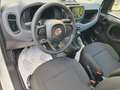 Fiat Panda 1.0 FireFly S&S Hybrid Bianco - thumbnail 10