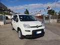 Fiat Panda 1.0 FireFly S&S Hybrid Bianco - thumbnail 4