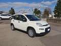 Fiat Panda 1.0 FireFly S&S Hybrid Bianco - thumbnail 5