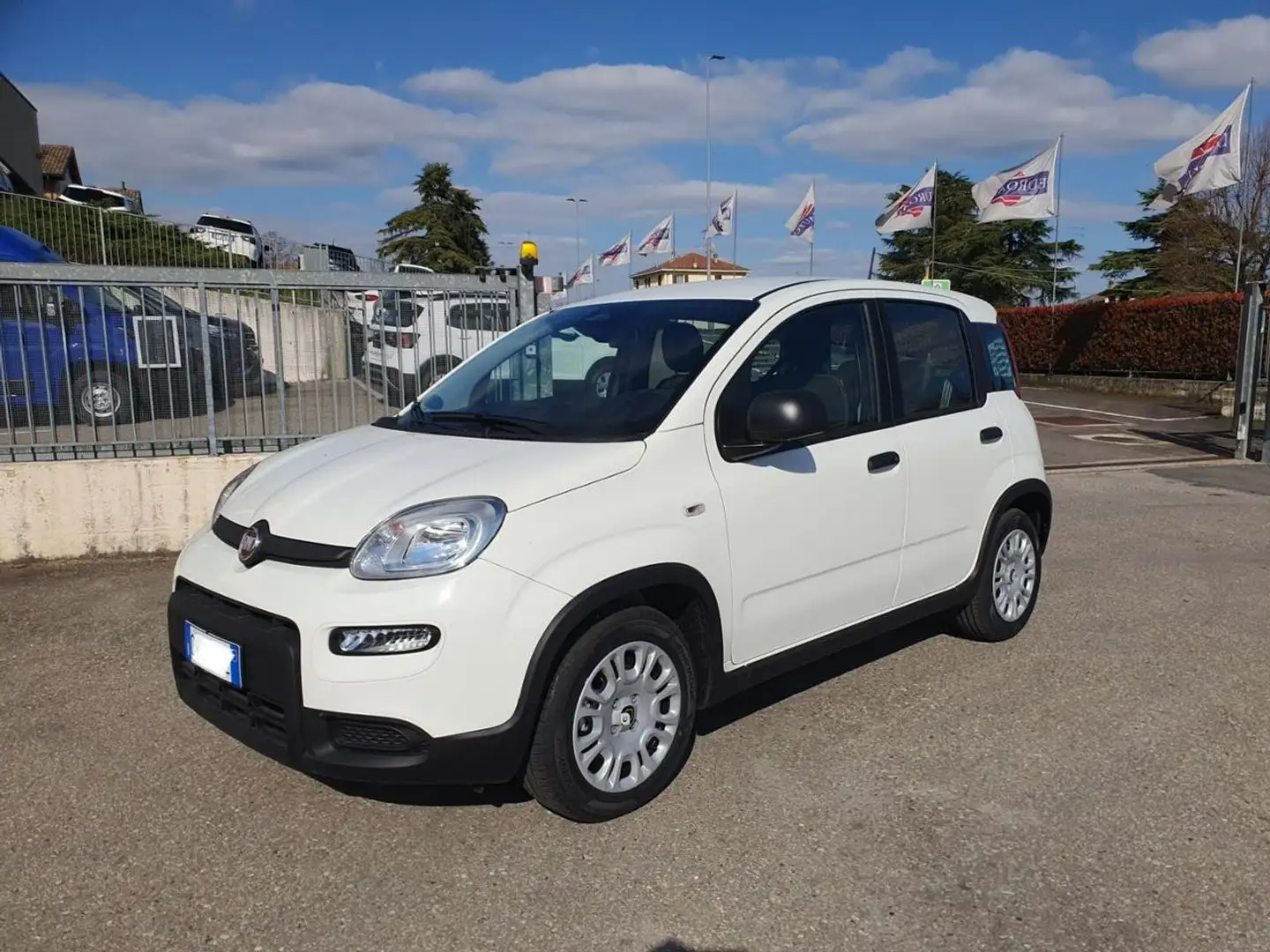 Fiat Panda 1.0 FireFly S&S Hybrid Bianco - 2