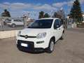 Fiat Panda 1.0 FireFly S&S Hybrid Bianco - thumbnail 1