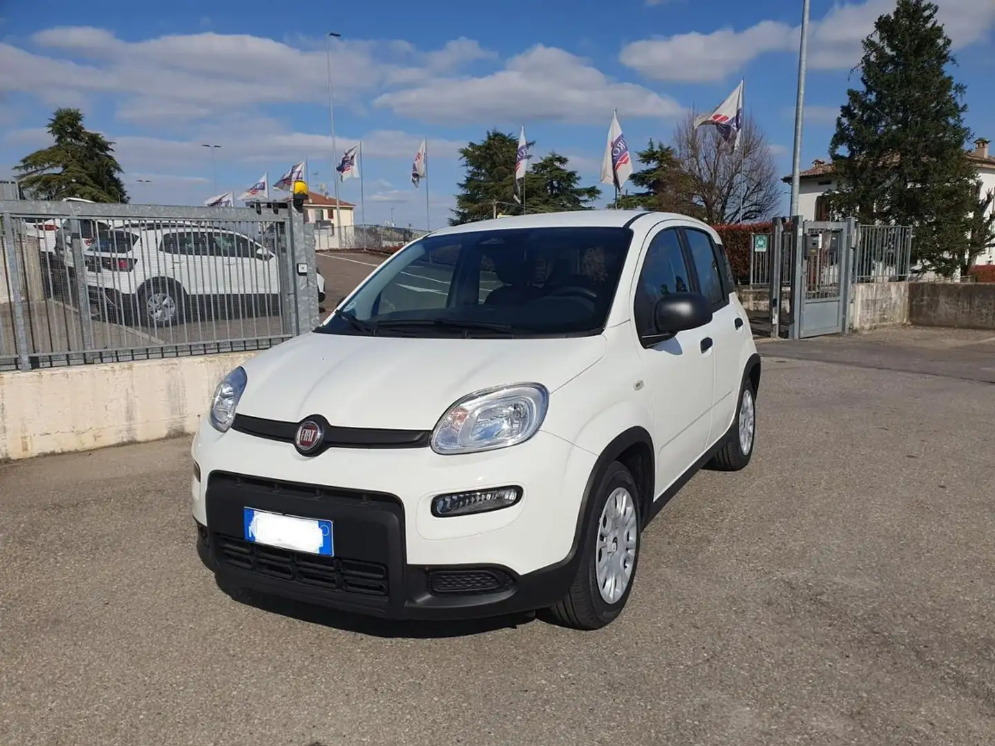 Fiat Panda 1.0 FireFly S&S Hybrid Bianco - 1