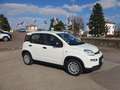 Fiat Panda 1.0 FireFly S&S Hybrid Bianco - thumbnail 6