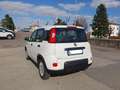 Fiat Panda 1.0 FireFly S&S Hybrid Bianco - thumbnail 8