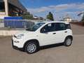 Fiat Panda 1.0 FireFly S&S Hybrid Bianco - thumbnail 3