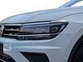 Volkswagen Tiguan 2.0 tdi executive 150cv dsg Wit - thumbnail 4