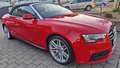 Audi A5 Cabriolet 2.0 TDI S-LINE quattro Rot - thumbnail 9