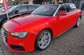 Audi A5 Cabriolet 2.0 TDI S-LINE quattro Rot - thumbnail 3