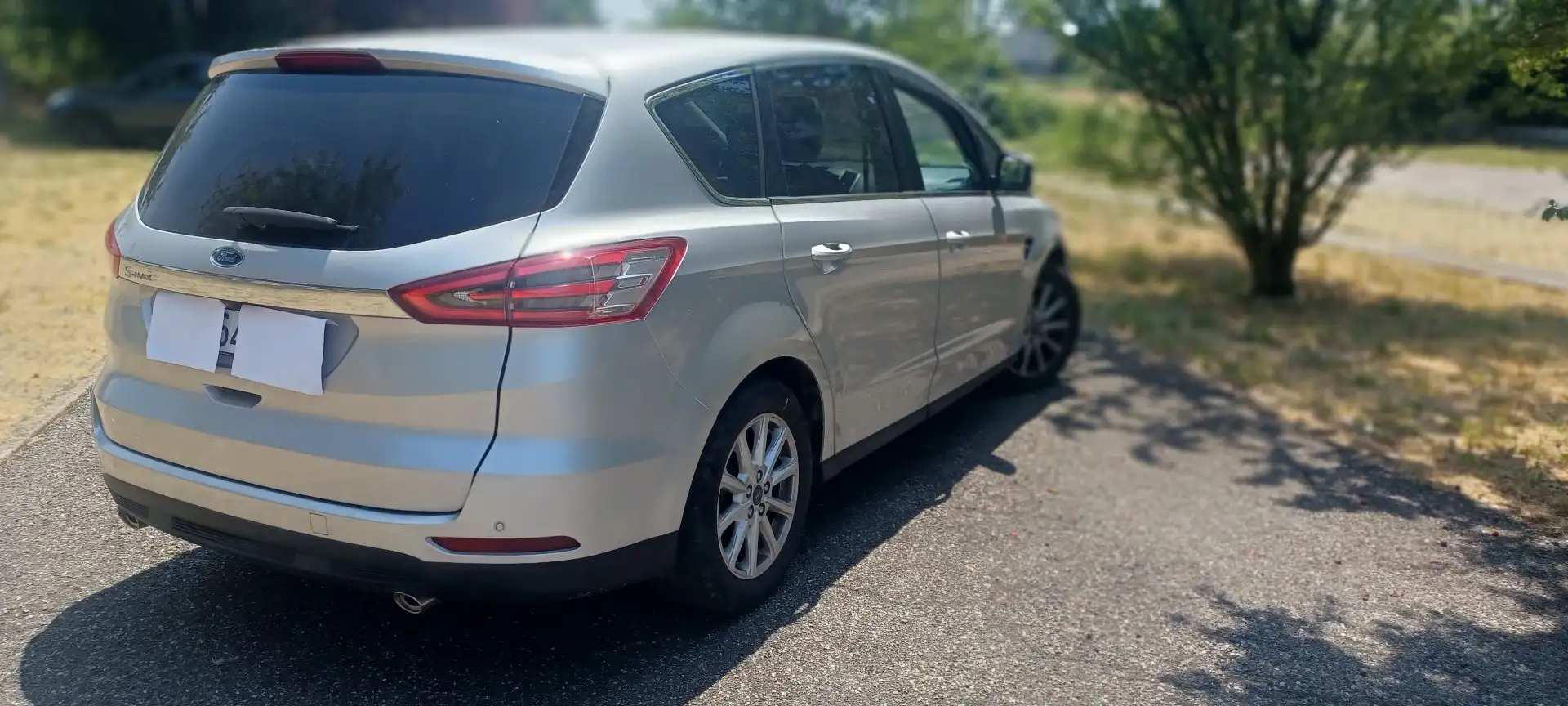 Ford S-Max 2.0 tdci Titanium Business s&s 150cv 7p.ti powersh Grigio - 2