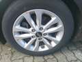Kia Ceed / cee'd Ceed 1.4 CVVT DREAM EDITION Braun - thumbnail 6