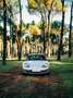 Porsche 911 Carrera 4 3.4 Coupé - thumbnail 6