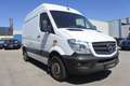Mercedes-Benz Sprinter Sprinter Hochd. 313 CDI 3,5t  Aut./RAMPE/WEBASTO/ - thumbnail 3