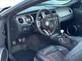 Shelby Mustang GT-H gt 500 - thumbnail 10