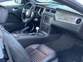 Shelby Mustang GT-H gt 500 - thumbnail 11