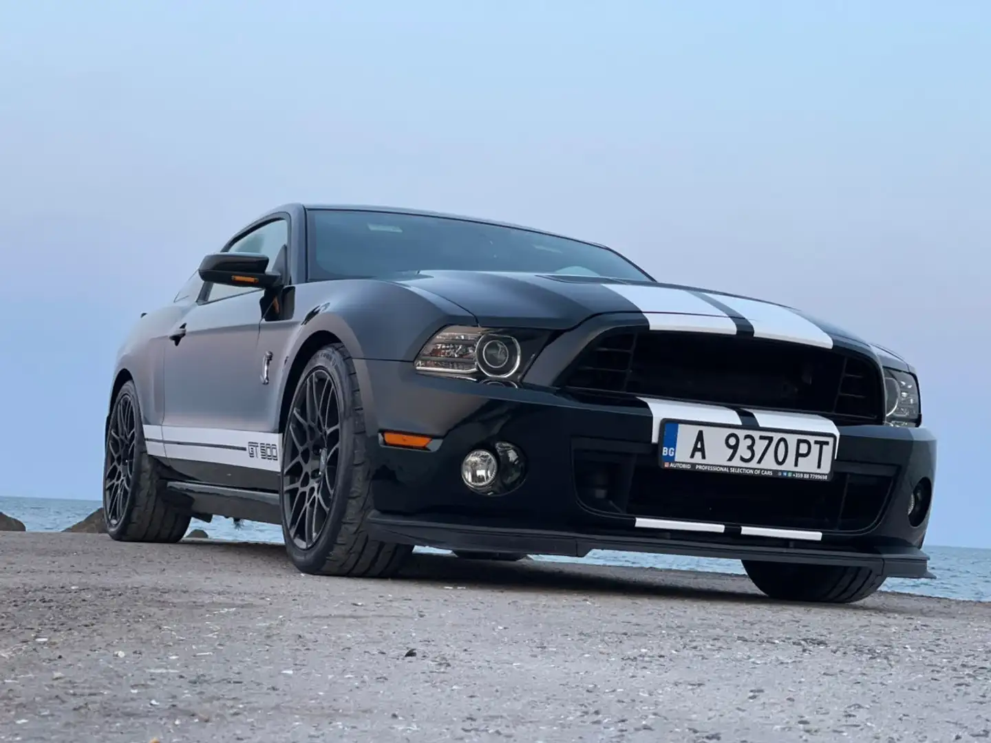 Shelby Mustang GT-H gt 500 - 2